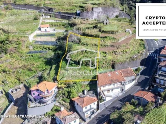 São Vicente Ilha da Madeira LS86681421