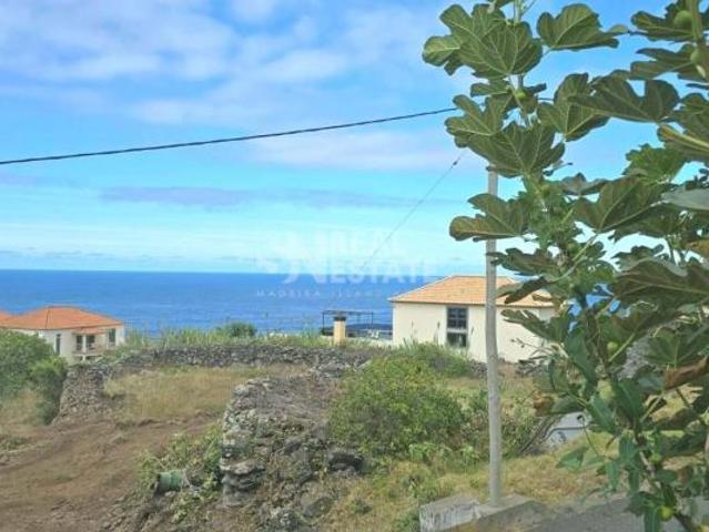 São Vicente Ilha da Madeira LS101220327