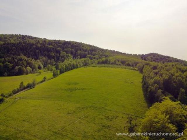 Słona, 1639 m² Działka