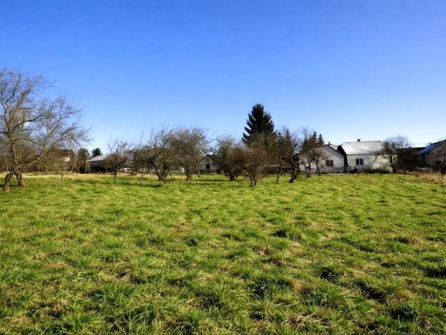 Słoneczna 1 550 m², Cianowice