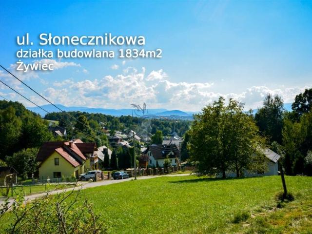 Słonecznikowa 1 834 m², Żywiec