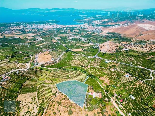 Sığacık Akarca Yoluna Komşu 16.826M Satılık Narenciye Bahçesi