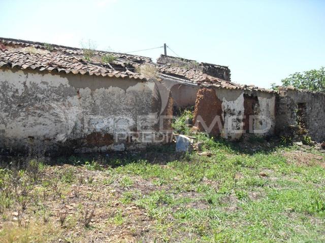 S. BARTOLOMEU DE MESSINES. Terrenos misto para agircultura e habitação