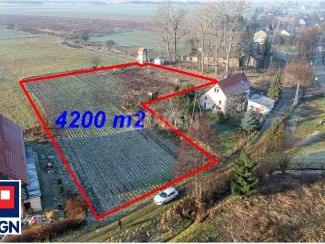 Sędzimirów 4 200 m², Sędzimirów