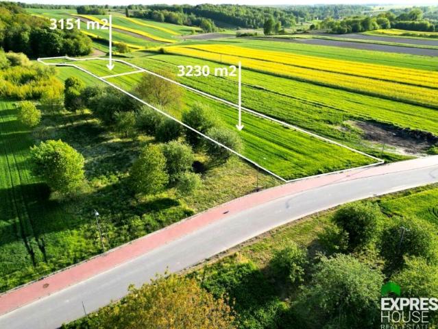 Sędziego Michała Tarki 6 381 m², Nałęczów