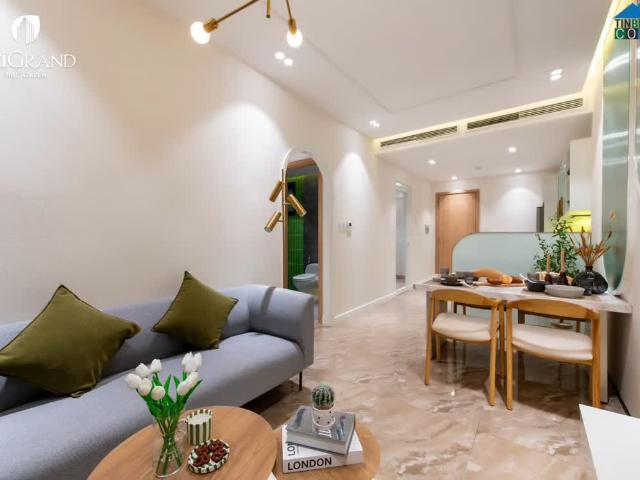 Sở Hữu Căn Hộ Citigrand – Đón Tết An Khang, Khởi Sắc Thịnh Vượng