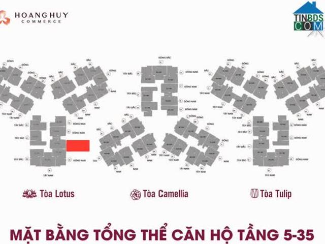 SỞ HỮU NGAY CĂN HỘ ĐẸP – GIÁ TỐT Chính Chủ Bán Căn Hộ Camellia Hoàng Huy Hải Phòng