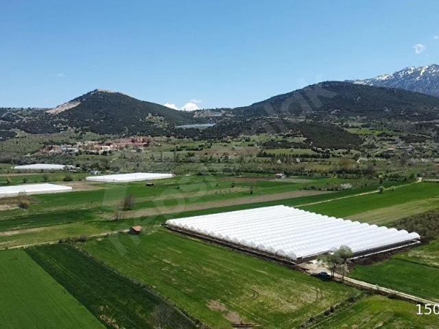 S.KEMER SEKİDE 10 DÖNÜM KAPALI SERALI HAZIR YATIRIM FIRSATI !