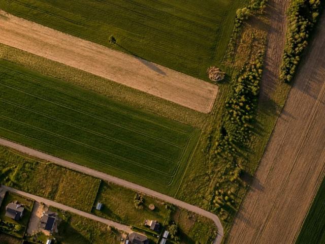 S. Lema 1 293 m², Orzesze