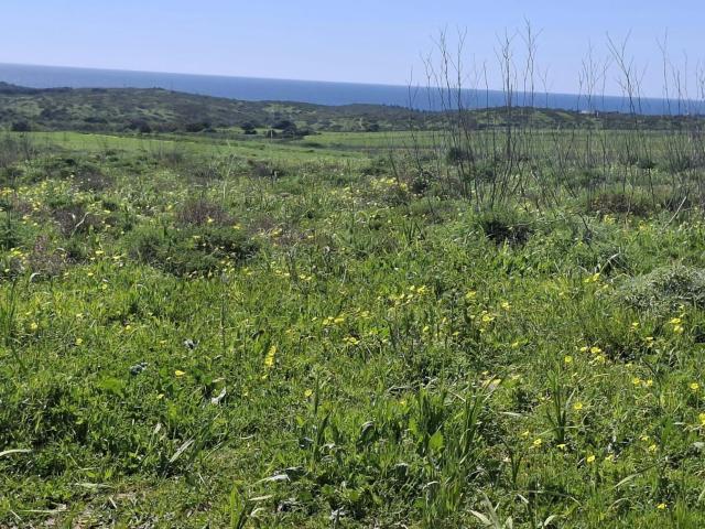 s Rústicos confinantes nas Hortas de Tabual, Vila do Bispo, Vila do bispo e raposeira