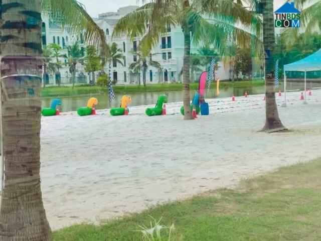 Sổ đỏ trao tay lãi nay trước Tết, quỹ hàng giá rẻ ở Vinhomes Ocean Park