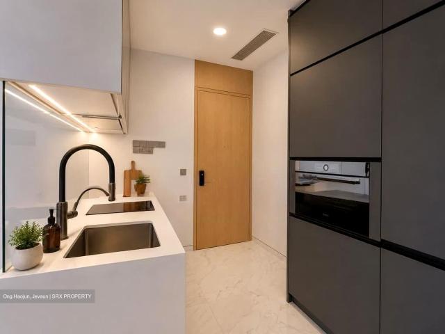 Scotts Road D9, Condominium