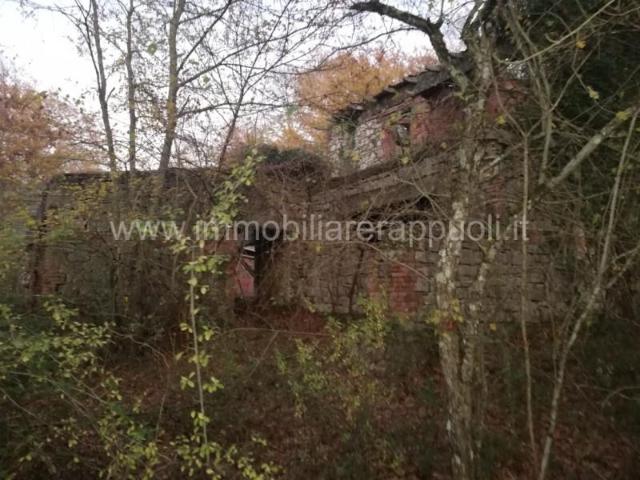 Scoprite un'opportunità unica nel cuore della Toscana! In ve. 260m² Rapolano terme