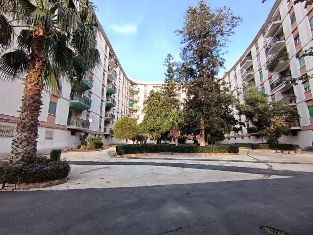 SCALA GRECA 031