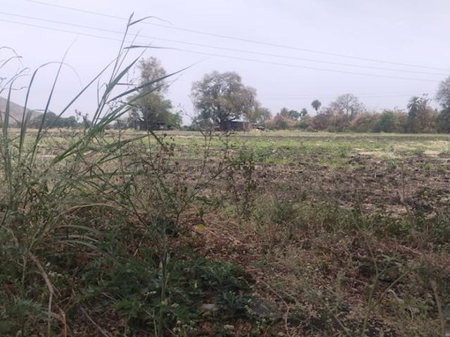 Scape IT Park 55000 Sq. Ft. Plot in Vijay Nagar Indore Listing ID: #10304