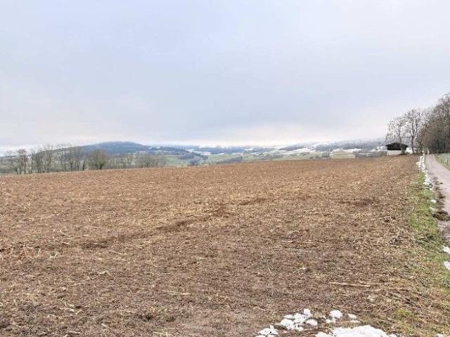 Schuppen mit Feld, Wiese, Weide