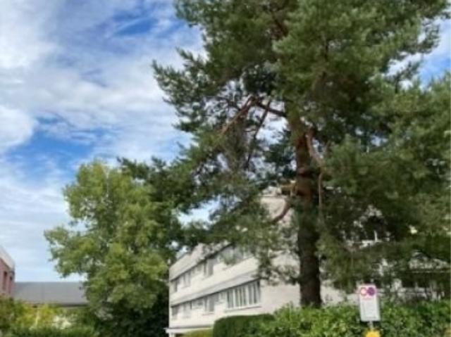 Schwamendingen Einstellplatz zu vermieten
