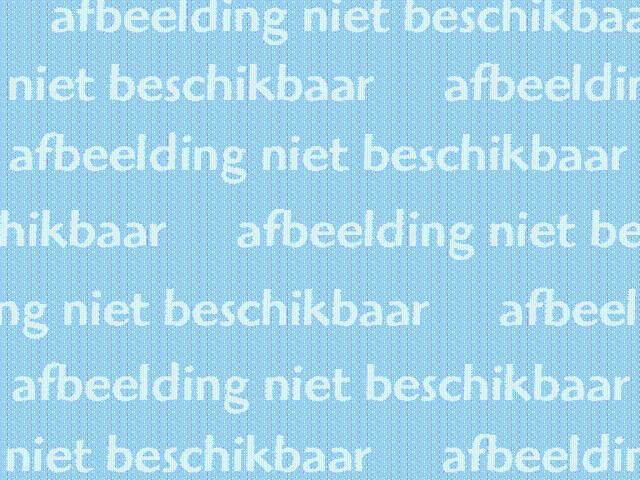 Schaapsveldje 46
