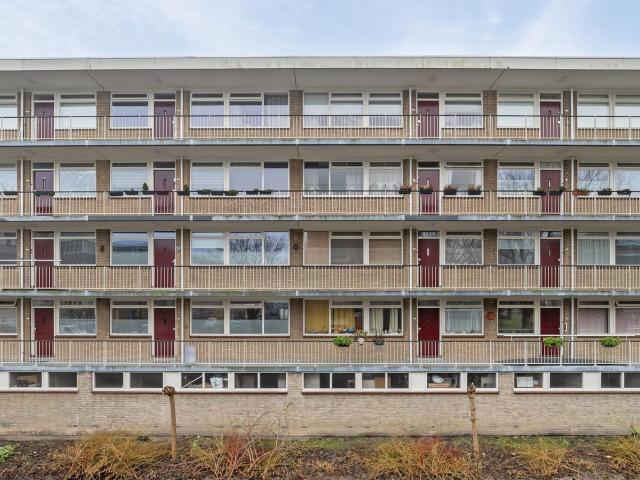 Schalkeroord, 183, 3079WE, Rotterdam, Zuid Holland 3079WE