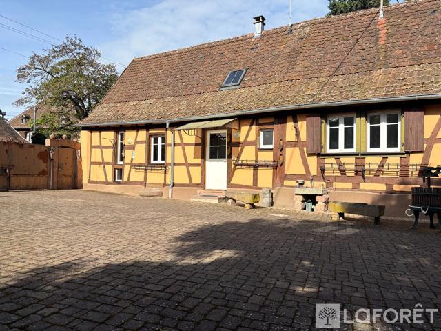 Scherwiller Location Appartement 67