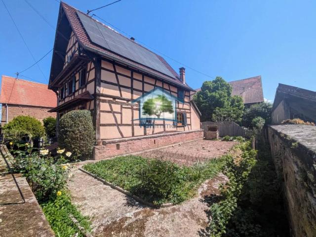 SCHILLERSDORF 67 Maison d'habitation 6P + Gîte 4 Chambres av