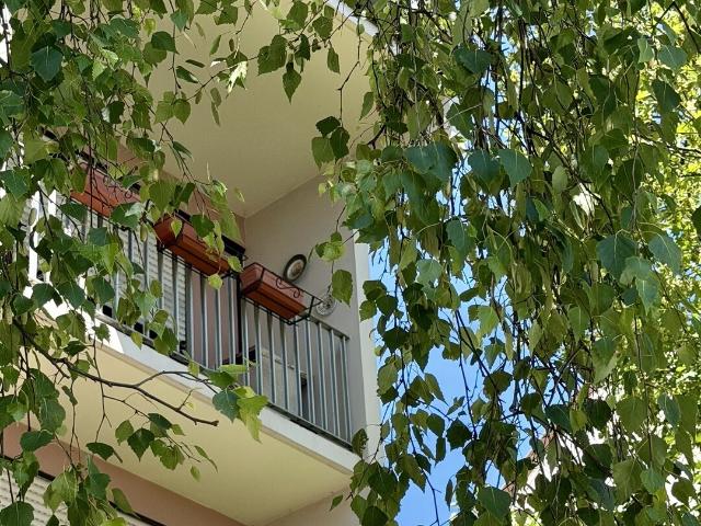 Schiltigheim Vente Appartement 67