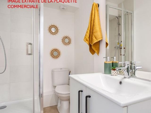 Schiltigheim Vente Appartement 67