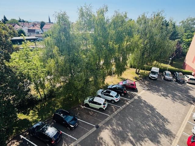 Schiltigheim Vente Appartement 67