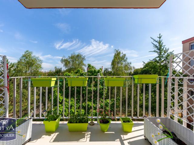 Schiltigheim Vente Appartement 67