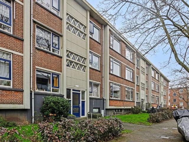 Schipborgstraat, 29, 2541PL, Den Haag, Zuid Holland 2541PL