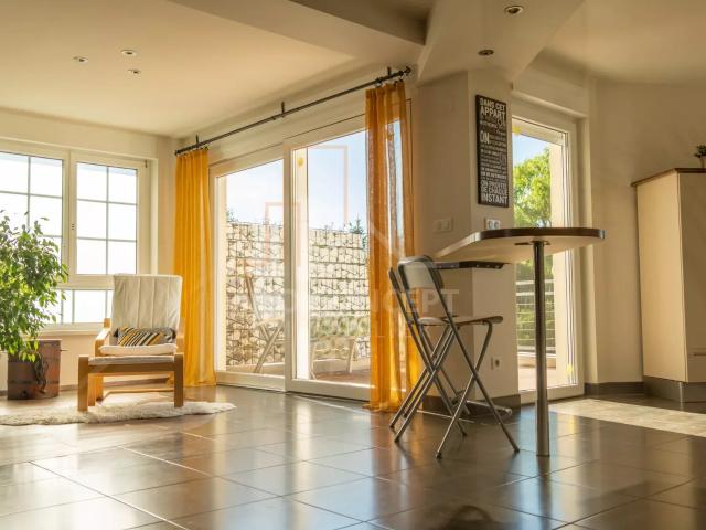 Schleithal Location Appartement 67