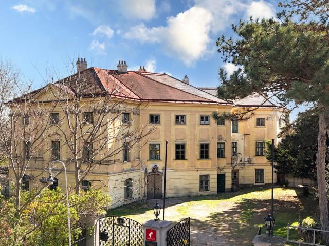 Schloss Thürnlhof bestandsfrei mit jahrhundertealter Geschichte und Entwicklungspotential Verkauf aus Privatbesitz