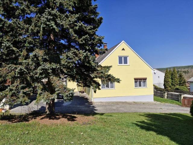 Schmuckes Einfamilienhaus in Stegersbach