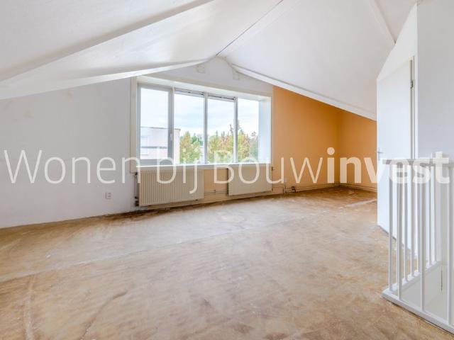 Schoener 23
