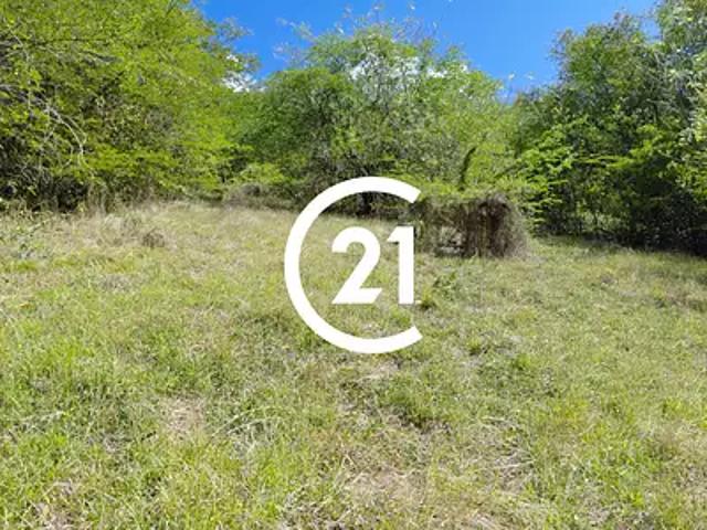 Schoelcher 97233 Achat / Vente terrain