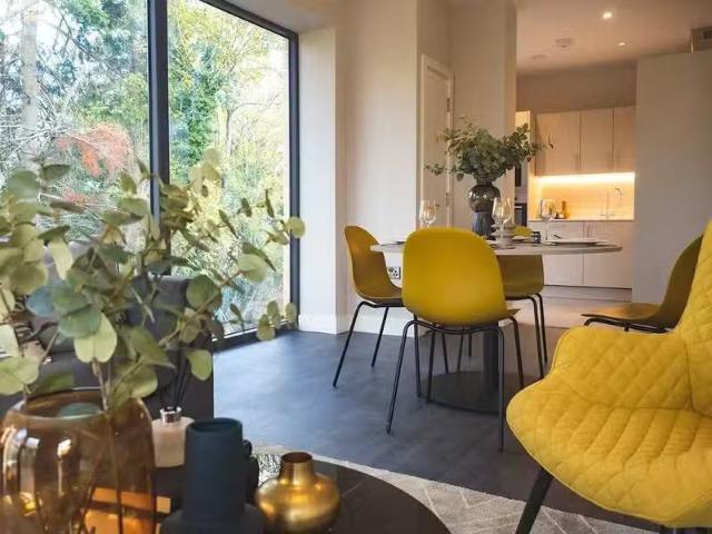 Scholarstown Wood, Rathfarham, Dublin16