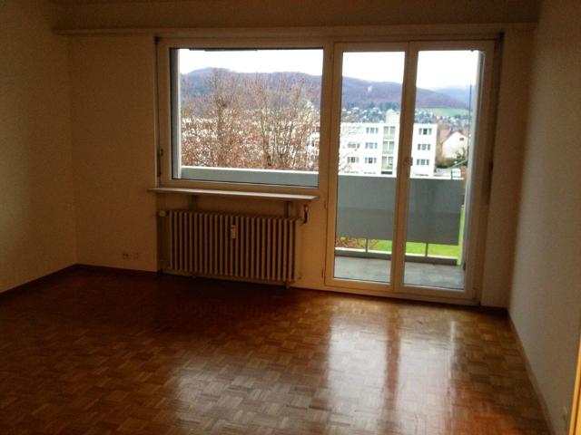 Schöne 1 Zimmerwohnung in Reinach