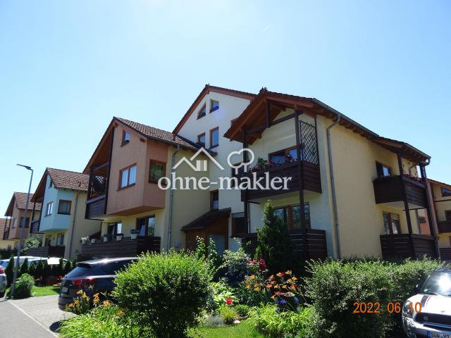 schöne 2 Zimmer Untergeschoss Wohnung in Germersheim zu vermieten 63 ID1497