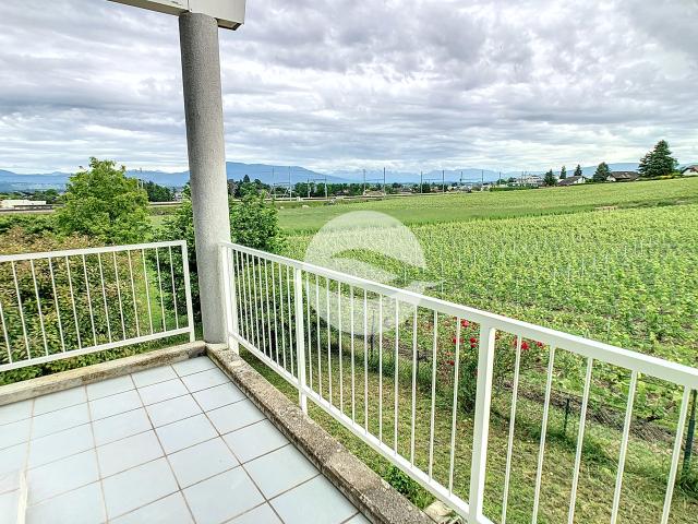 Schöne 4.5 Zimmer Wohnung mit Balkon und freiem Ausblick