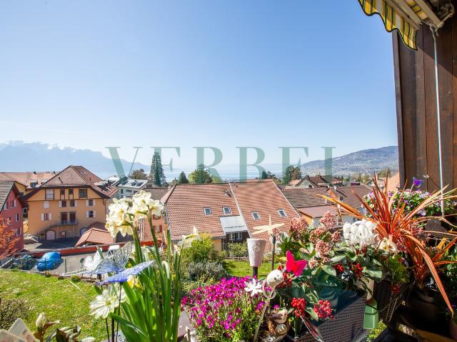 Schöne 4.5 Zimmer Wohnung mit Blick auf den See und die Alpen