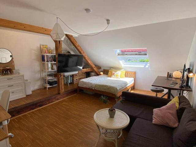 Schöne Dachgeschoßwohnung Nähe Augarten WG tauglich