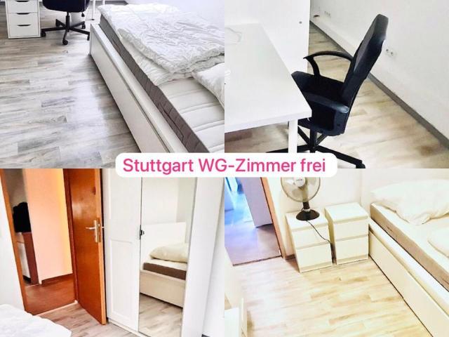 Schöne Frauen WGs in Stuttgart frei: Obertürkheim, Esslingen am Neckar
