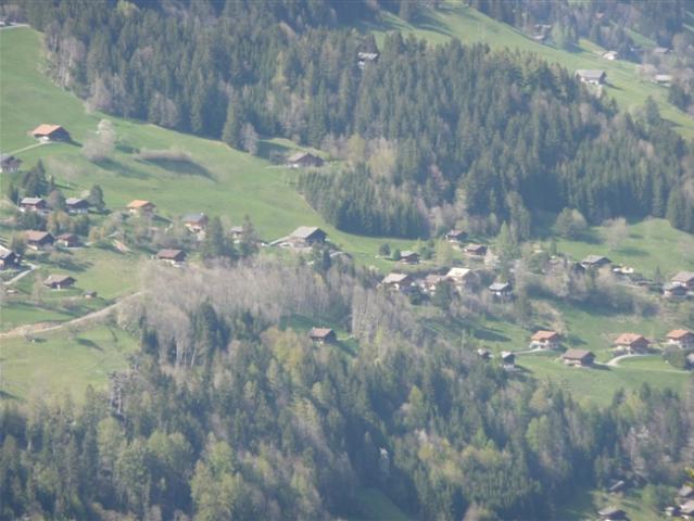 Schöne Parzelle von 903 m2 zum Bauen oberhalb des Dorfes Champéry