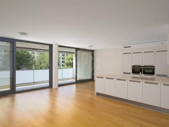 Schöne Wohnung Carouge GE