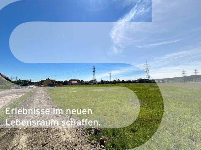 Schöner Baugrund in Asten | GST # 1110/29