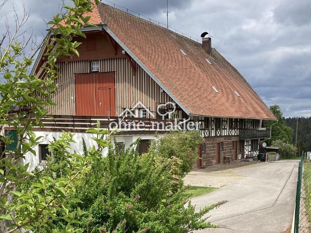 Schönes ehemaliges Fachwerk Bauernhaus, Liebhaberobjekt !