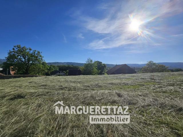 Scientrier Vente Terrain 74