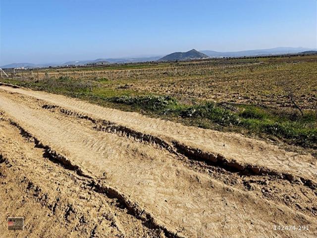Sağancı mahallesi Bergama Organize Sanayi Yakını Tarla Satılık