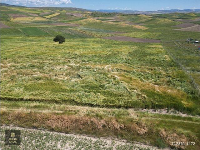 SAĞLAM EMLAKTAN SATILIK TEK TAPU 33 DÖNÜM TEK TAPU TARLA