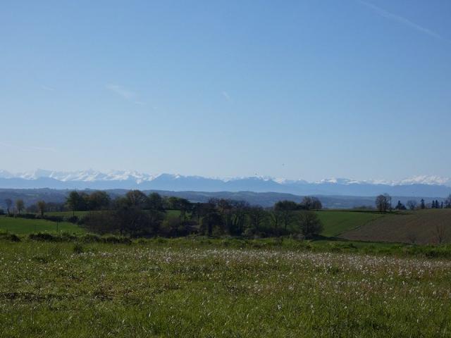 Samaran Vente Terrain 32